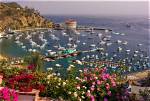 Is California Really Charming?