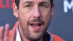 Is Jared Sandler Related to Adam Sandler, Who Are His Family Members and What Does He Do?