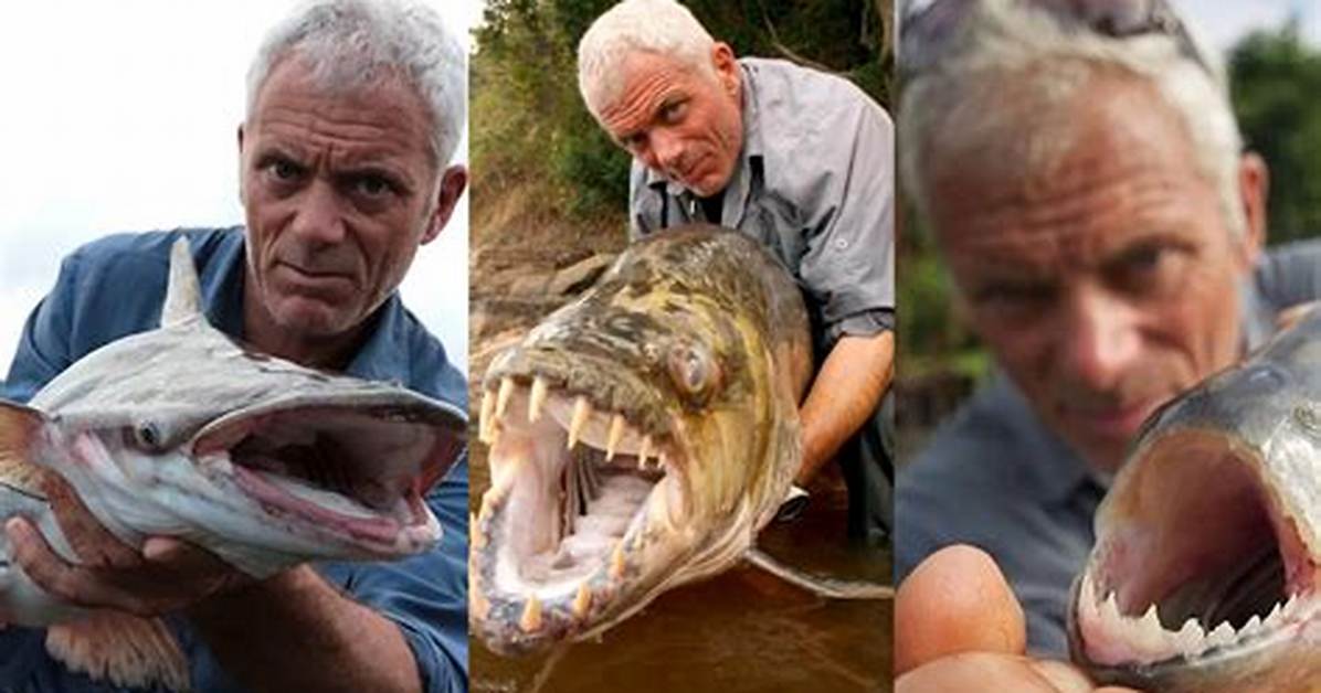Is Jeremy Wade Gay? Find out the Answer to the Speculation