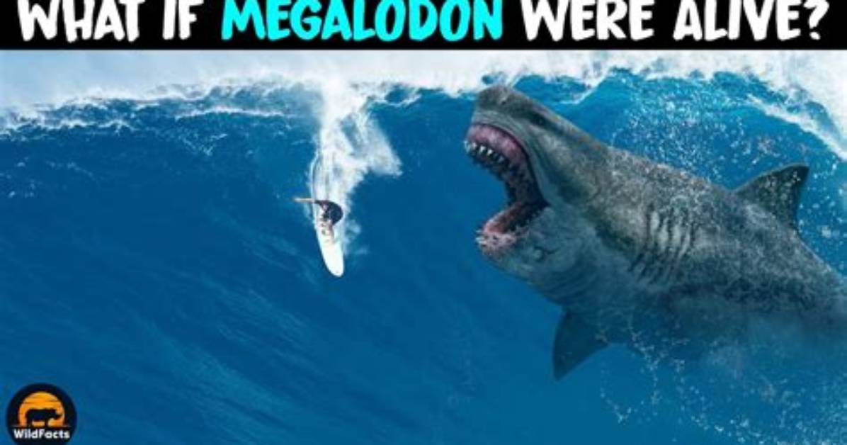 Is the Megalodon Still Alive Today? the Ultimate Truth Revealed