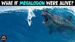 Is the Megalodon Still Alive Today? the Ultimate Truth Revealed