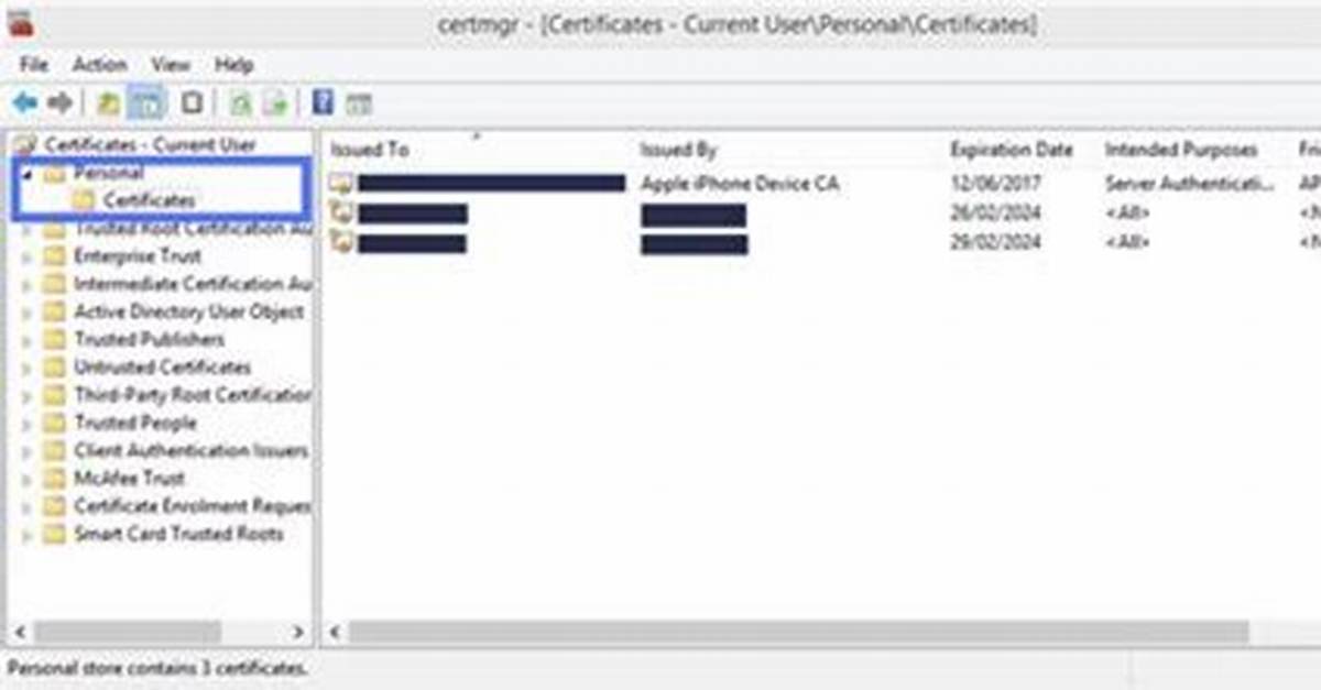Learn the Key Differences Between Pfx and P12 Certificates