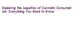 Legalities of Bflix: Everything You Need to Know