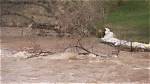 Libby Stimpson Weber River Accident Linked to Missing ·