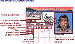 Locate Your Driver's License Number: a Comprehensive Guide