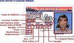 Locate Your Driver's License Number Easily - Guide