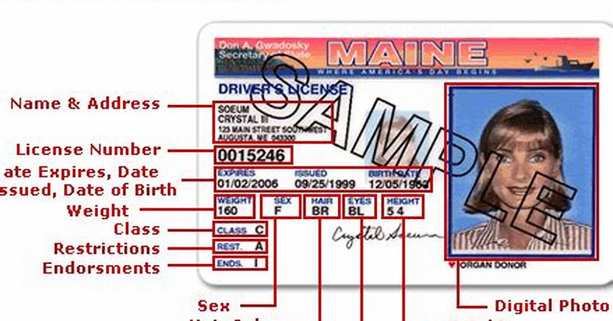 Locate Your License Number: a Comprehensive Guide