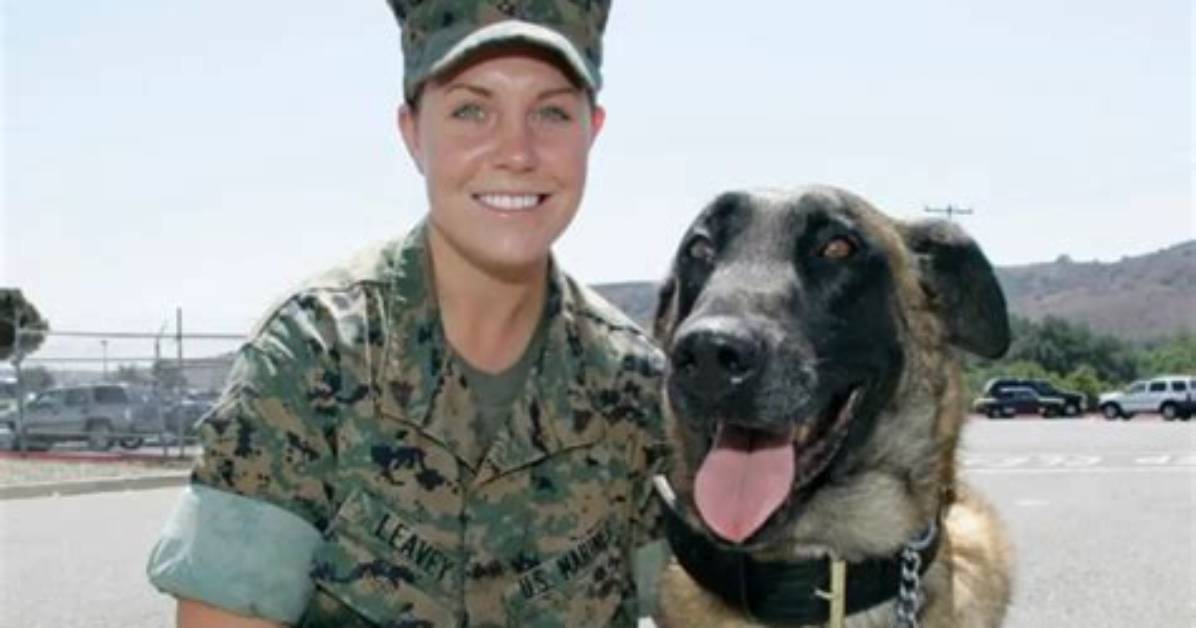 Megan Leavey's Marriage to Matt Morales: an Unbreakable Bond