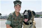 Megan Leavey's Marriage to Matt Morales: an Unbreakable Bond