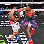 Michael Angeletti Boxing Wikipedia and Parents Ethnicity, How Old Tall?
