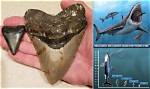 Nasa's Frozen Megalodon Unearthed: Unlocking Ancient Predator's Secrets