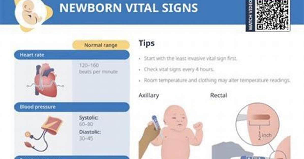 Newborns' Respiration Rate: a Guide to Understanding Their Breathing