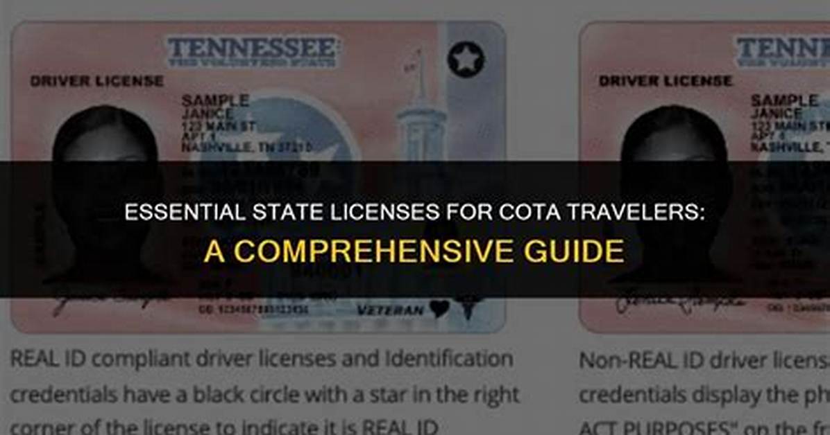 Obtain Your Tlc Licenses: the Essential Guide for Success