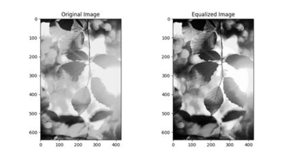 Opencv Python equalizeHist Colored Image ·