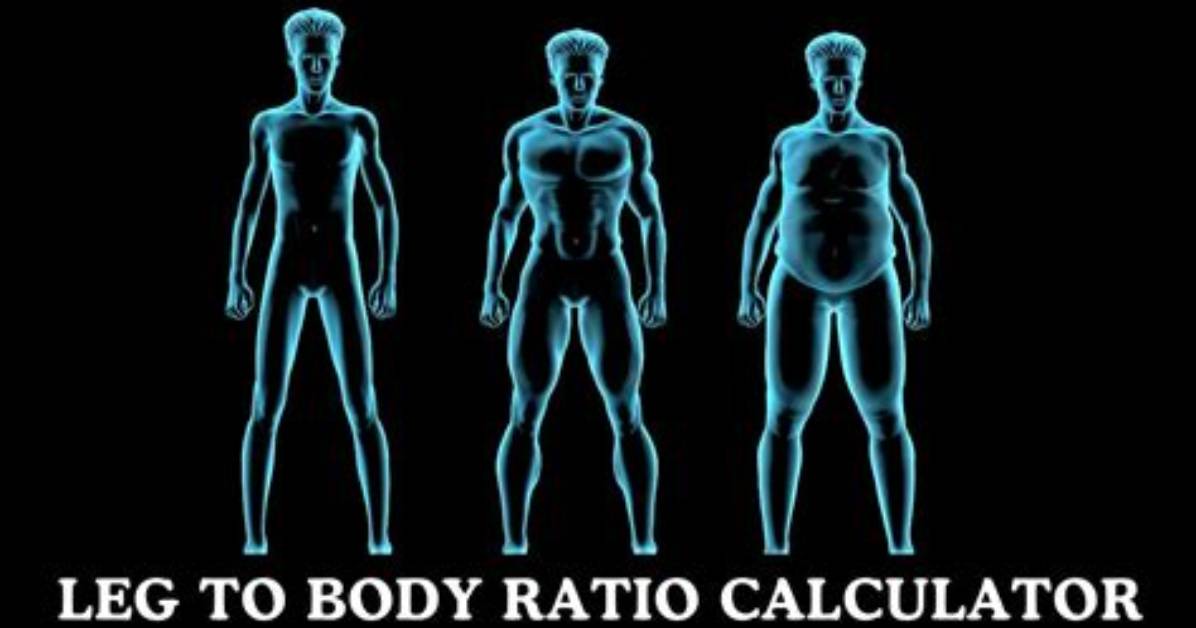 Optimize Your Leg-to-Body Ratio for Enhanced Performance