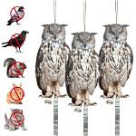Owl Away: Effective Methods to Deter Birds of the Night