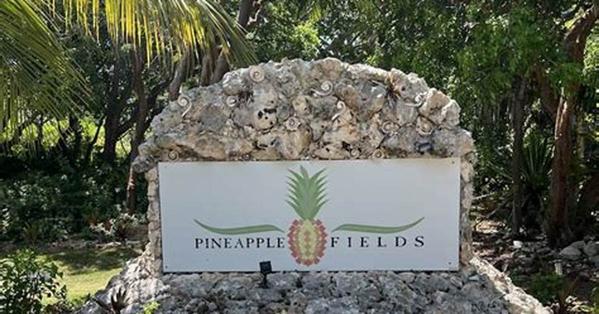 Pineapple Fields Resort Hotel Review, Bahamas Travel