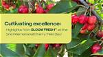 Premium Attitude Seeds: Cultivating Excellence