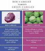 Purple Cabbage vs Green Cabbage: Which Is Better?