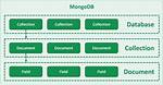 Rediscover Data Management with Mongodb Collections: the Ultimate Guide