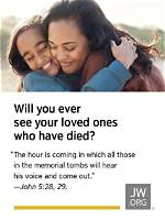See Your Loved Ones Safe: Son and Mom Cctv Surveillance System
