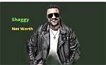 Shaggy's Net Worth 2024: a Forbes Exclusive