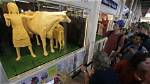 Shocking: State Fair Cow Dubbed with Inappropriate Name