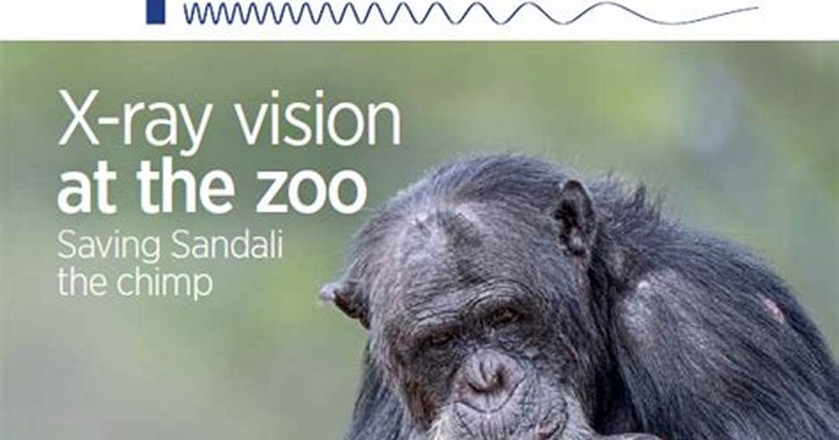 Smitten on the Spectrum: a Zoological Rendezvous