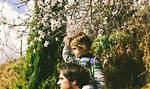 Springtime Adventures with Bart: a Guide to the Best Outdoor Activities