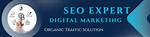 Steven Pfeil |Seo Expert| Digital Marketing