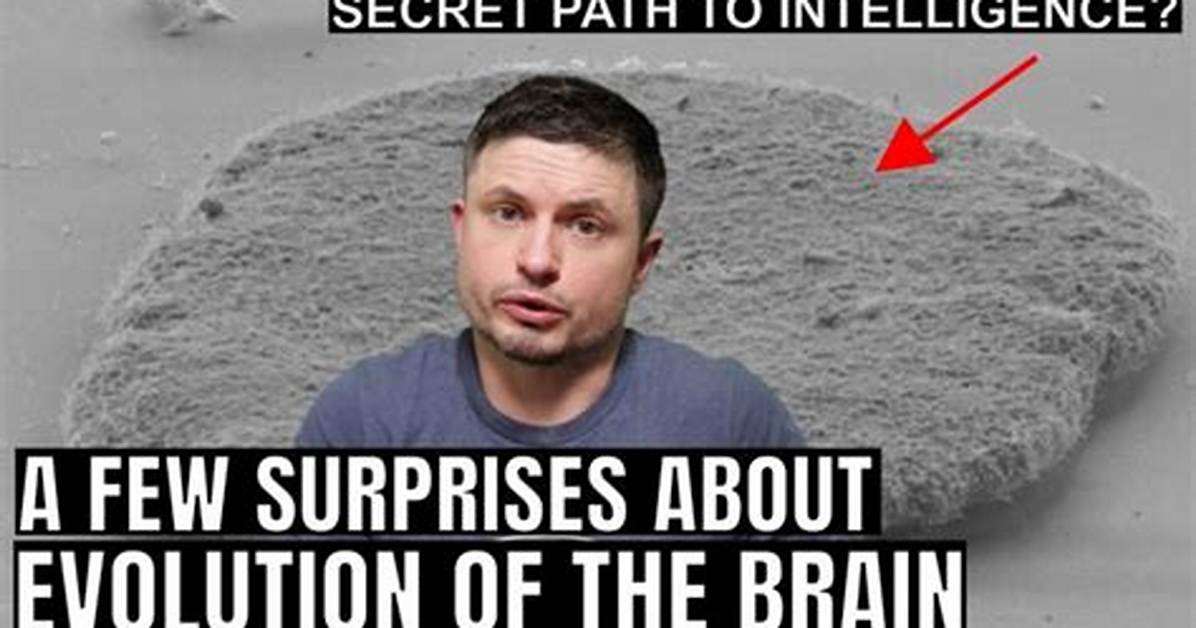 Surprising Discoveries and Meaningful Insights