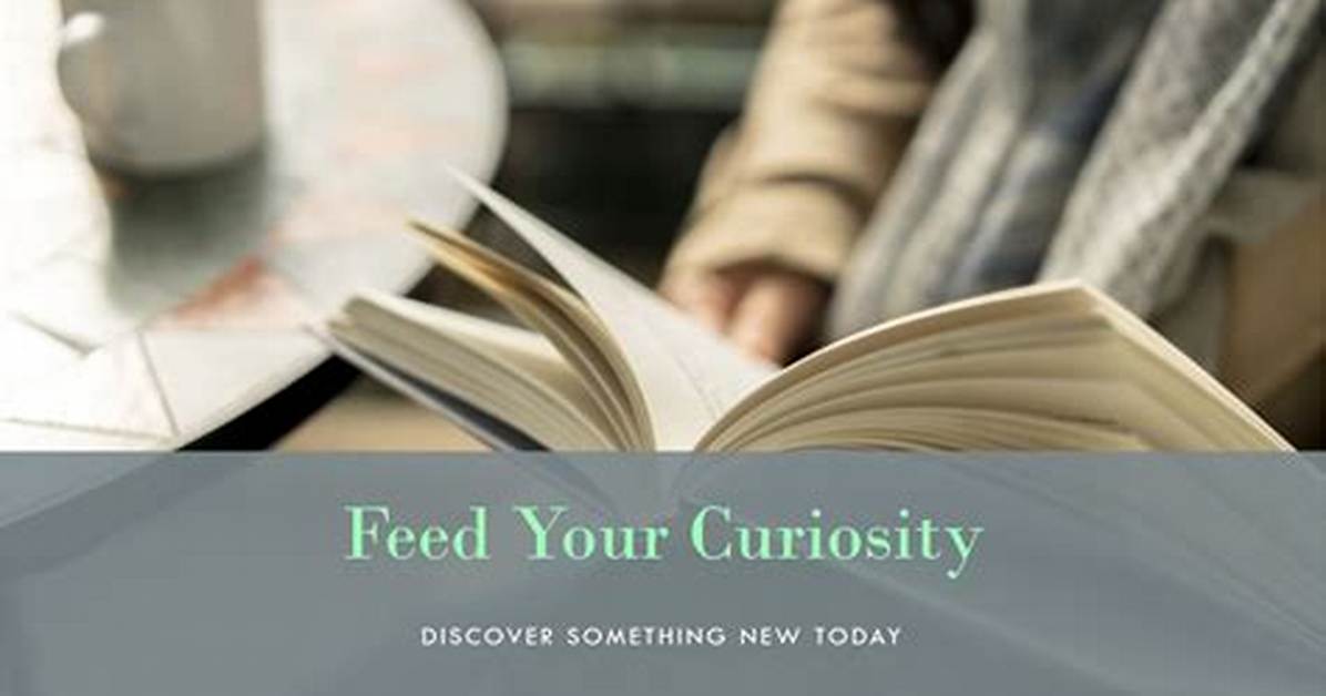 Surprising Insights for Your Curiosity