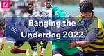 The Art of "Banging the Underdog 2022": Unlocking Profitable Betting Strategies