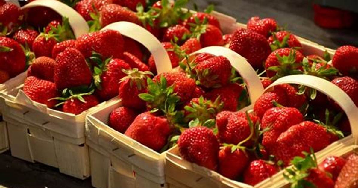 The Curious Origins of Strawberries: Uncovering the Etymology Behind the Beloved Fruit