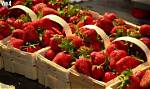 The Curious Origins of Strawberries: Uncovering the Etymology Behind the Beloved Fruit