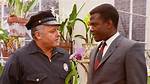 The Enduring Legacy of "In the Heat of the Night 1988"