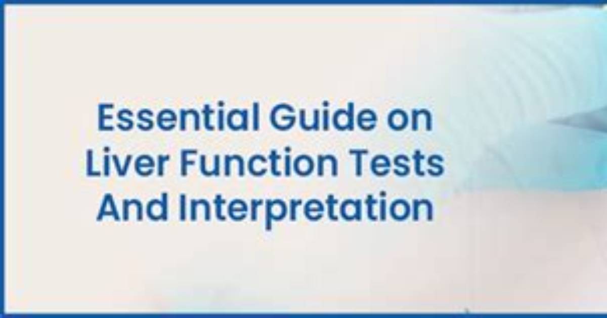 The Essential Guide to the Function and Importance of the Human Ear