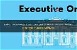 The Executive Branch: Understanding Its Vital Role in Government