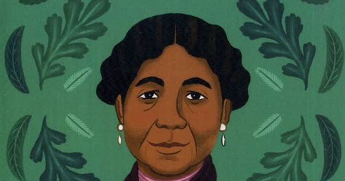 The Extraordinary Life and Legacy of Mary Elizabeth Todd Damien Pickett