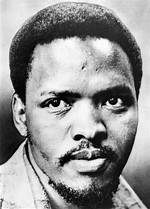 The Impact of Steve Biko on South African History