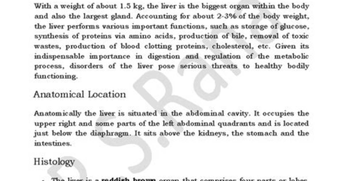 The Largest Internal Organ: a Comprehensive Guide to the Liver