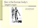 The Largest Organ: Your Skin's Role in Health