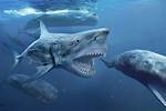 The Megalodon: Ancient Giant Shark Explored by Nasa