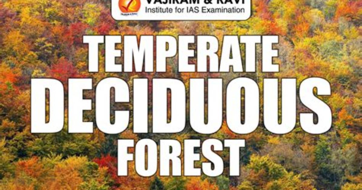 The Significance of Precipitation in Deciduous Forests: a Comprehensive Guide