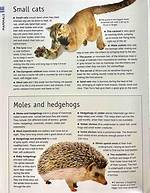 The Ultimate Guide to Animals That Hunt Humans for Food