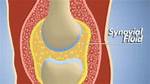 The Ultimate Guide to Boosting Synovial Fluid for Joint Health