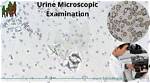 The Ultimate Guide to Detecting Skin Flora Contamination in Urine