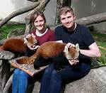 The Ultimate Guide to Domesticated Red Pandas: Care, Training, and More