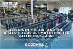 The Ultimate Guide to Goodwill on the Balance Sheet
