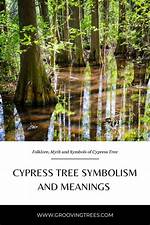 The Ultimate Guide to Pear Tree Symbolism and Meaning